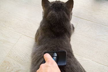 Similar image 21386879