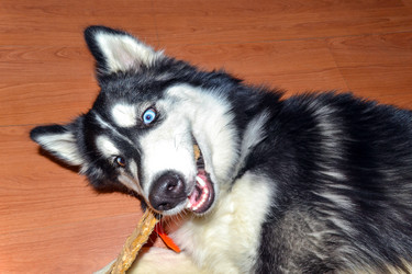 Similar image 21386884