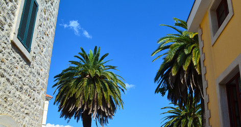 Similar image 21386888