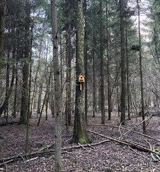 Similar image 21386893