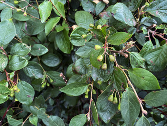 Similar image 21386896