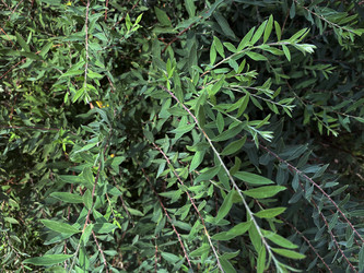 Similar image 21386897