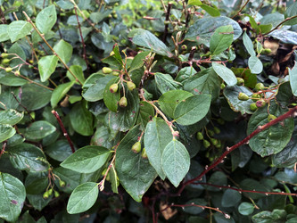 Similar image 21386899