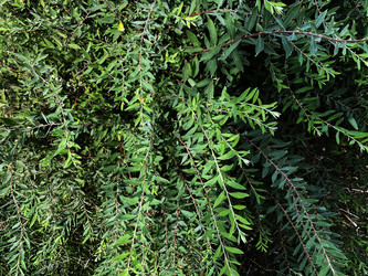 Similar image 21386901