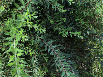 Similar image 21386903