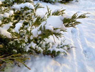 Similar image 21386918