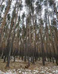 Similar image 21386933