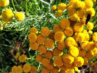 Similar image 21386972