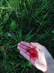 Similar image 21386977