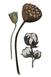 Similar image 21382598