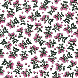 Similar image 21382600