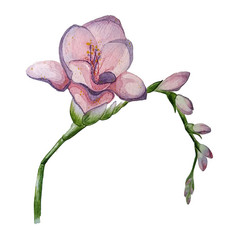 Similar image 21382608