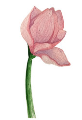 Similar image 21382736