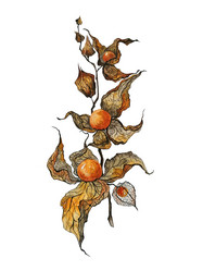 Similar image 21382737