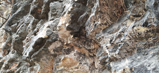 Similar image 21405491