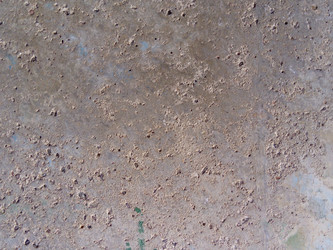 Similar image 21405492