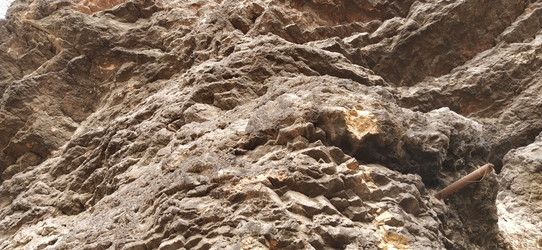 Similar image 21405493