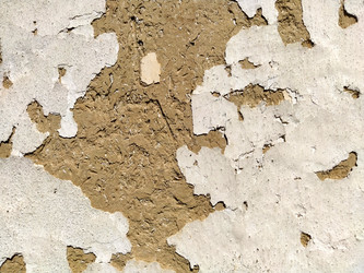 Similar image 21405500