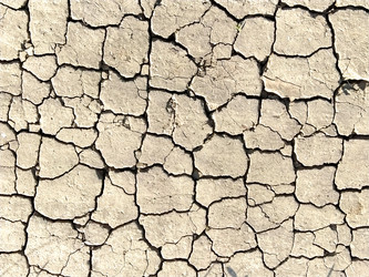 Similar image 21405504