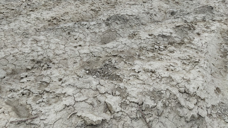 Similar image 21405505