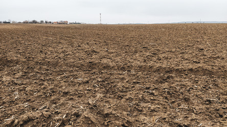 Similar image 21405511