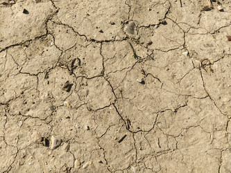 Similar image 21405752