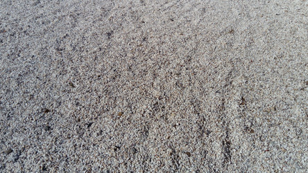 Similar image 21405753