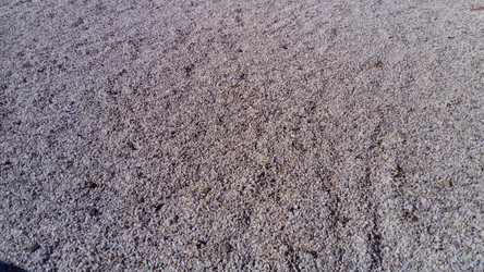 Similar image 21405755