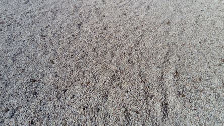 Similar image 21405829