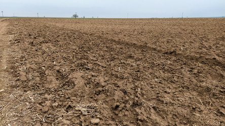 Similar image 21405919