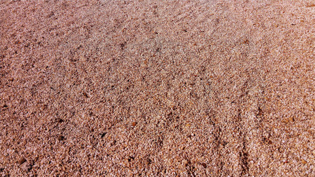 Similar image 21405921