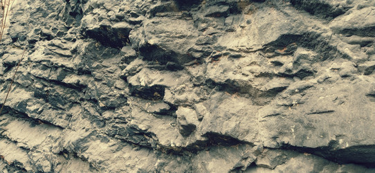 Similar image 21406014