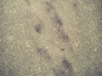 Similar image 21415735