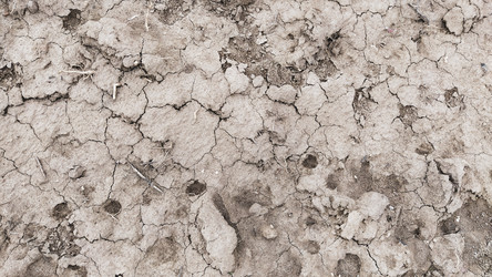 Similar image 21415955