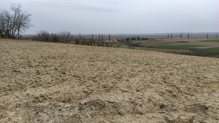 Similar image 21416157