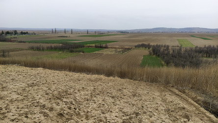 Similar image 21416324