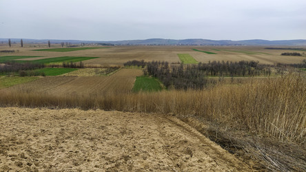 Similar image 21416863