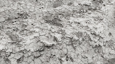 Similar image 21416867