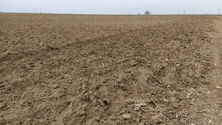 Similar image 21416871