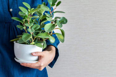 Similar image 21424755