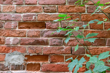 Similar image 21422009