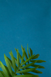 Similar image 21422011