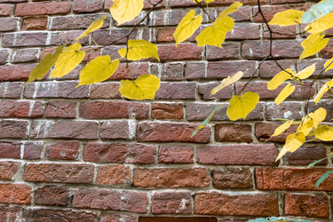 Similar image 21422012