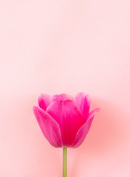 Similar image 21384790