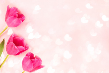 Similar image 21384793