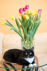 Similar image 21384794