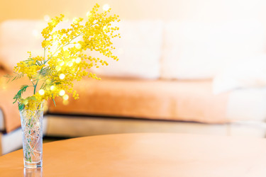 Similar image 21384798