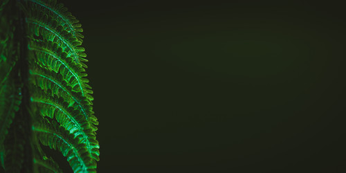 Similar image 21384801