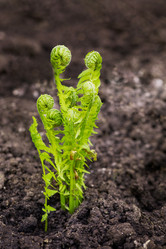 Similar image 21384819