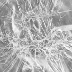 Similar image 21384499